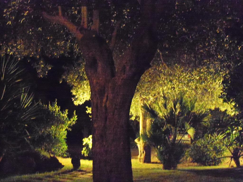 Gli Ulivi Daire Alghero Oda fotoğraf