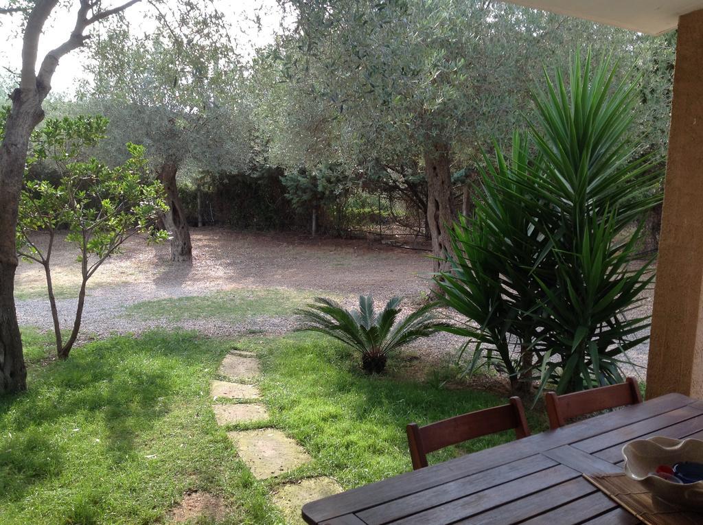Gli Ulivi Daire Alghero Oda fotoğraf