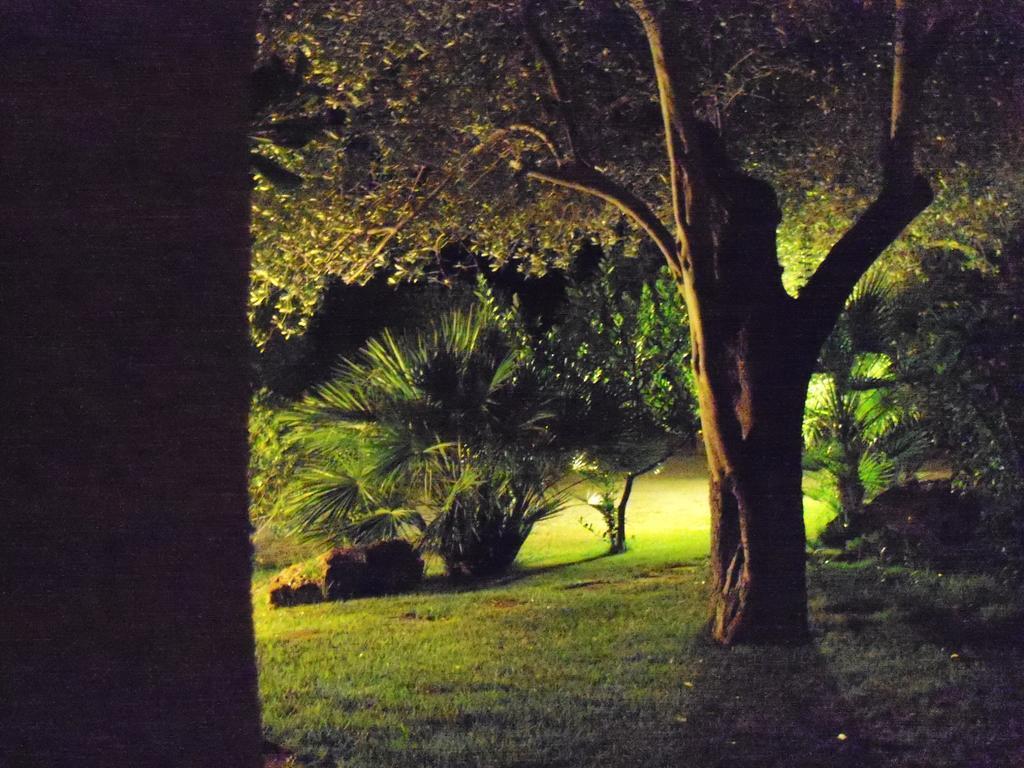 Gli Ulivi Daire Alghero Dış mekan fotoğraf